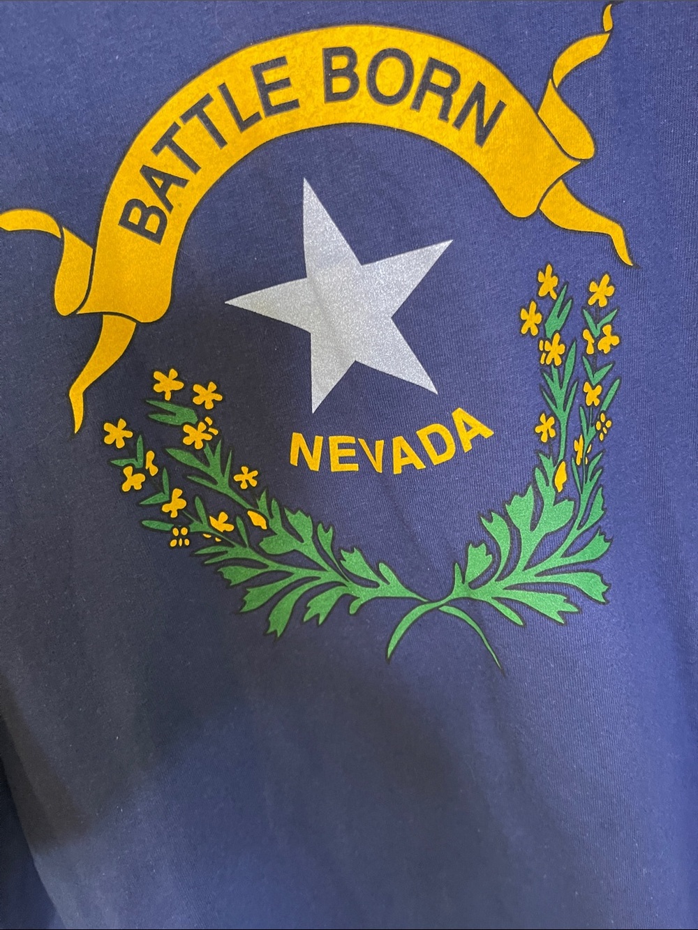PORT and COMPANY   Nevada 'Battle Born' Graphic T-Shirt - Navy